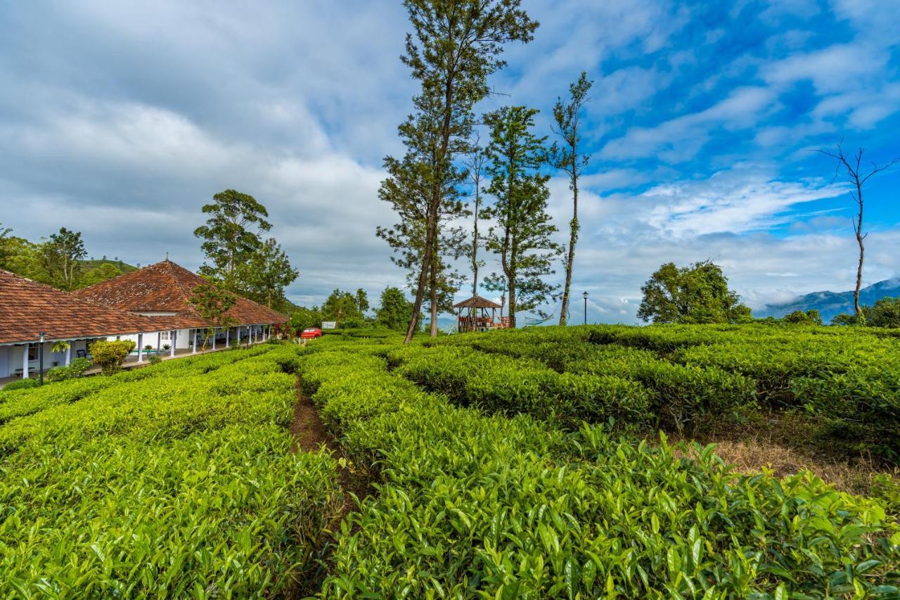Zostel Plus Wayanad كالباتّا المظهر الخارجي الصورة