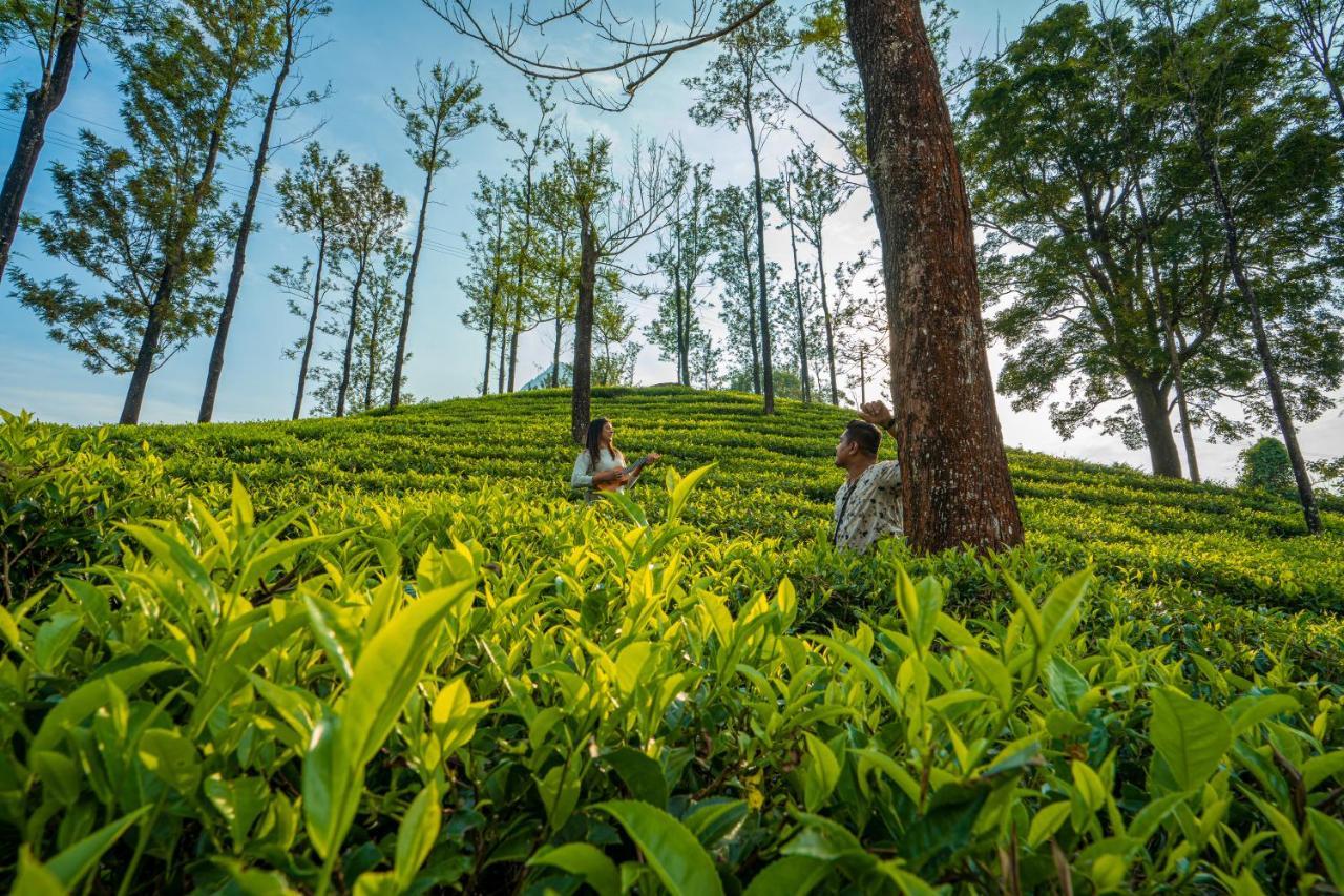 Zostel Plus Wayanad كالباتّا المظهر الخارجي الصورة